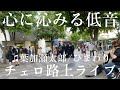 急にプロのチェロ奏者が葉加瀬太郎“ひまわり”を弾いたら大勢が立ち止まるも最後まさかの展開に..【ストリートチェロ】