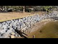 How to install riprap and have a good defining line between yard and riprap.