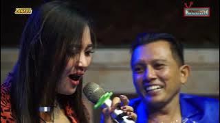 LAGU TERBARU // PELAS TERI // ALL ARTIS // DENADA