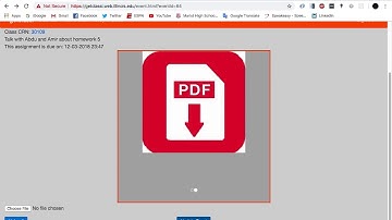 University of Illinois at Urbana-Champaign - CS411- Spring 2018- Project Demo