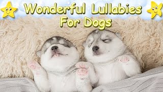 1 Hour Relaxing Music For Husky Dogs And Puppies ♫ Calm Your Dog With Ease screenshot 2