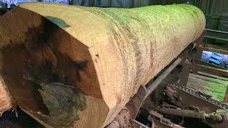 Sleep to me sawing this 28” Poplar Log #7