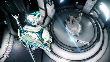 Warframe | Kubrow in the Incubator
