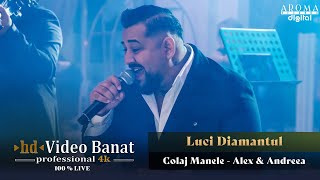 Luci Diamantul - Colaj Manele | Nunta Andreea & Alex