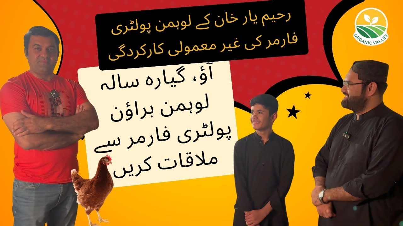 Come & Meet Eleven Years Old Lohmann Brown Poultry Farmer