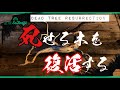 [BonsaiSalvage]狸-tanuki-the way of re:bonsai dead trees