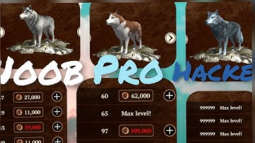 Noob Vs Pro Vs Hacker/the Wolf online Simulator