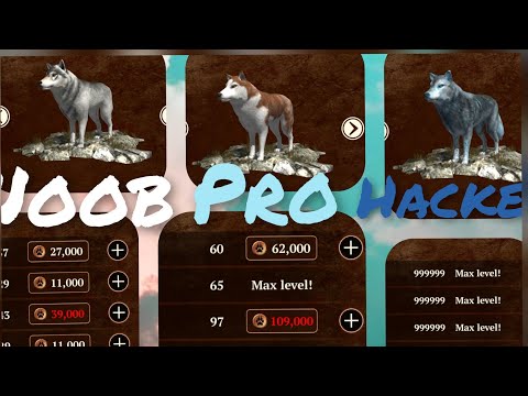 Noob Vs Pro Vs Hacker/the Wolf online Simulator