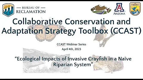 Ecological Impacts of Invasive Crayfish in a Naïve Riparian System