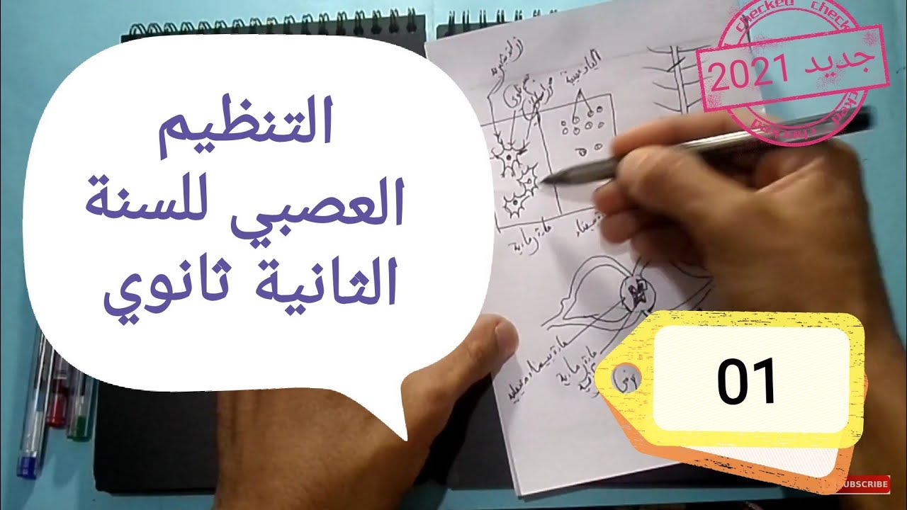 التنظيم العصبي 2 ثانوي