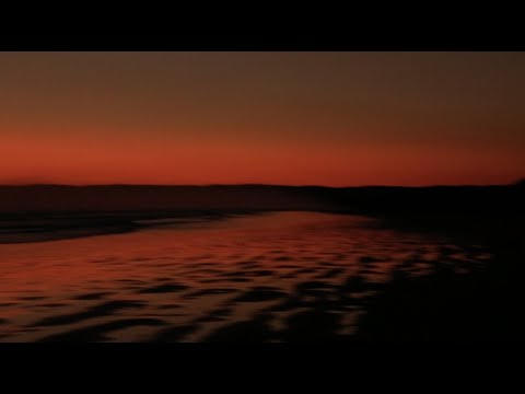 Rolling Blackouts Coastal Fever - Dive Deep (Official Visualiser)