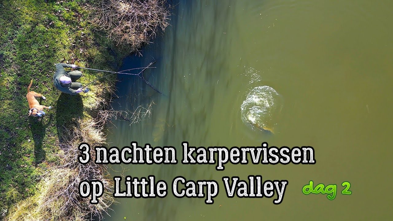 3 nachten karpervissen op betaalwater Little Carp Valley. Dag 2 !!