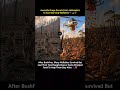 This image depicts rescue efforts in Australia to feed wildlife following severe bushfires.#shorts