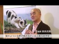 岩合光昭「ねこのとけい」ご案内