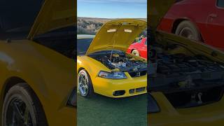 Cobra at the car show