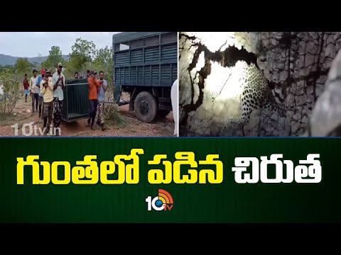 Rescue Operation Cheetah in Prakasam Dist | గుంతలో పడిన చిరుత | 10TV News