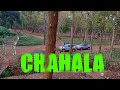 Chahala similipal core area drive  wildlife in similipal  mayurbhanj tourism  odisha dekho