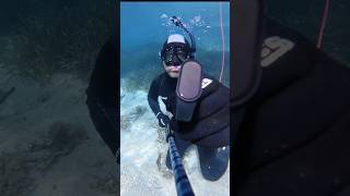 #mallorca #cleanup #treasure #freediver #dji