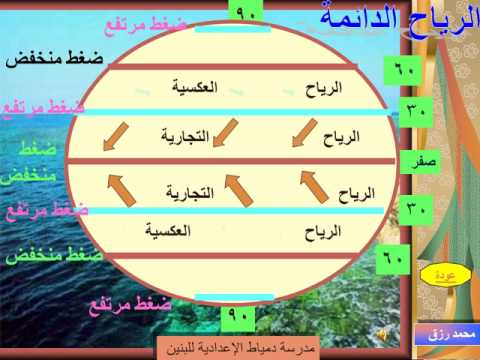 فيديو: نباتات الكروم للحدائق العاصفة - زراعة الكروم التي يمكن أن تصمد أمام الرياح