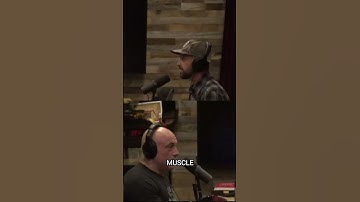 17 foot PYTHON v/s COWBOY | JOE ROGAN EXPERIENCE |