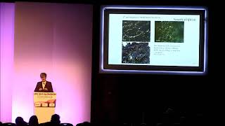 Dr Sandra Wilks Southampton University UroShield study