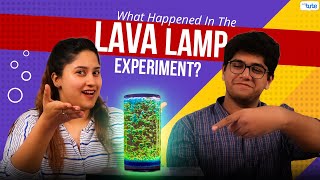 How to Make a Lava Lamp at Home? | How do Lava Lamps Work? | Science Experiment | Letstute