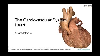 ANAT1010_25_Heart + Anki flashcards