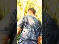 জয়া মুজে ছৰড কৰড মুজে #momets #viwes #vairal #trendingonyoutube #musicvideo