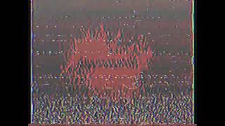 Very Damaged Noedolekcin Blood Splat Vhs Tape
