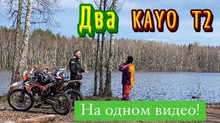 картинка: Для чего я купил себе Kayo t2?