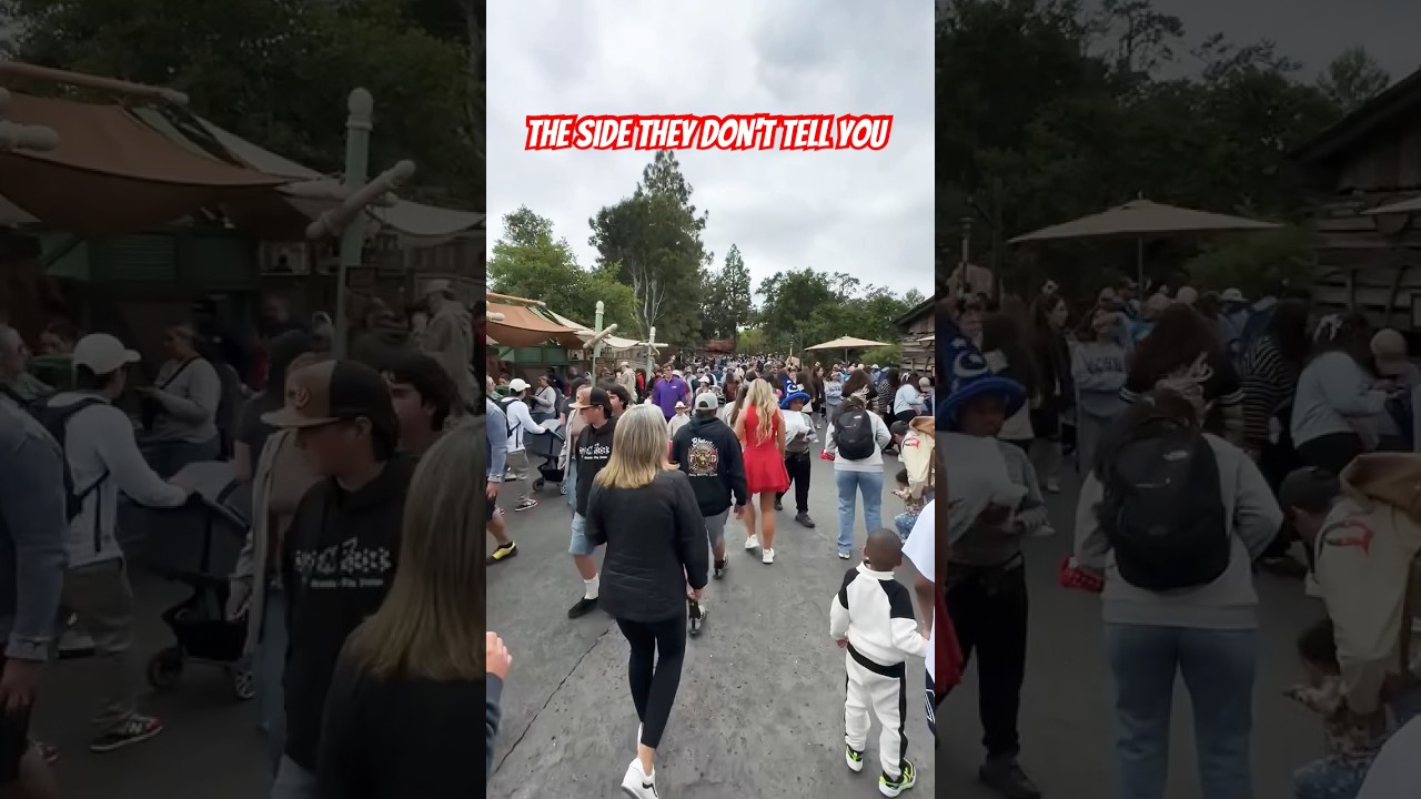 Unbelievable 🤯… 