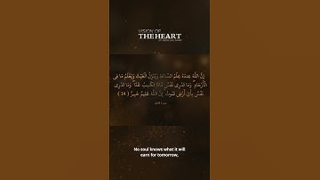 سورة لقمان الآية 34