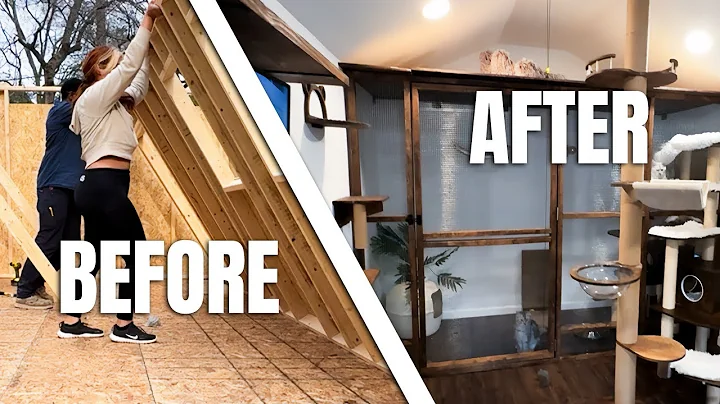 Watch the video about DIY MEGA CATIO for my Mainecoon Cattery!