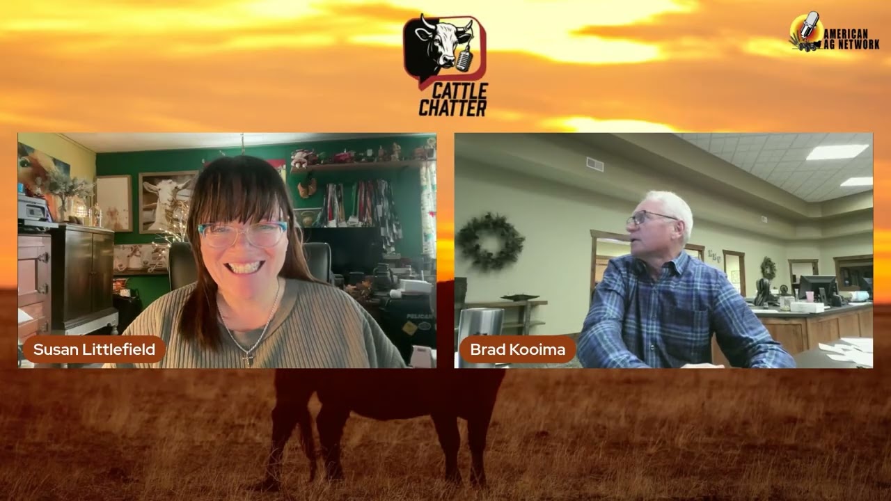 Cattle Finding New Gears | 12/4/25 Cattle Chatter