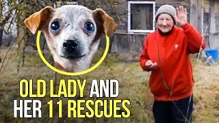 This Old Woman Was Living With 11 Hungry Rescue Dogs And No Money To Feed Them