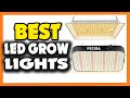 Top 5 best led grow light in 2023