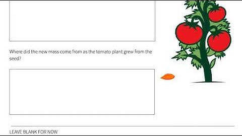 mySci 6 0 U21L2 Summary