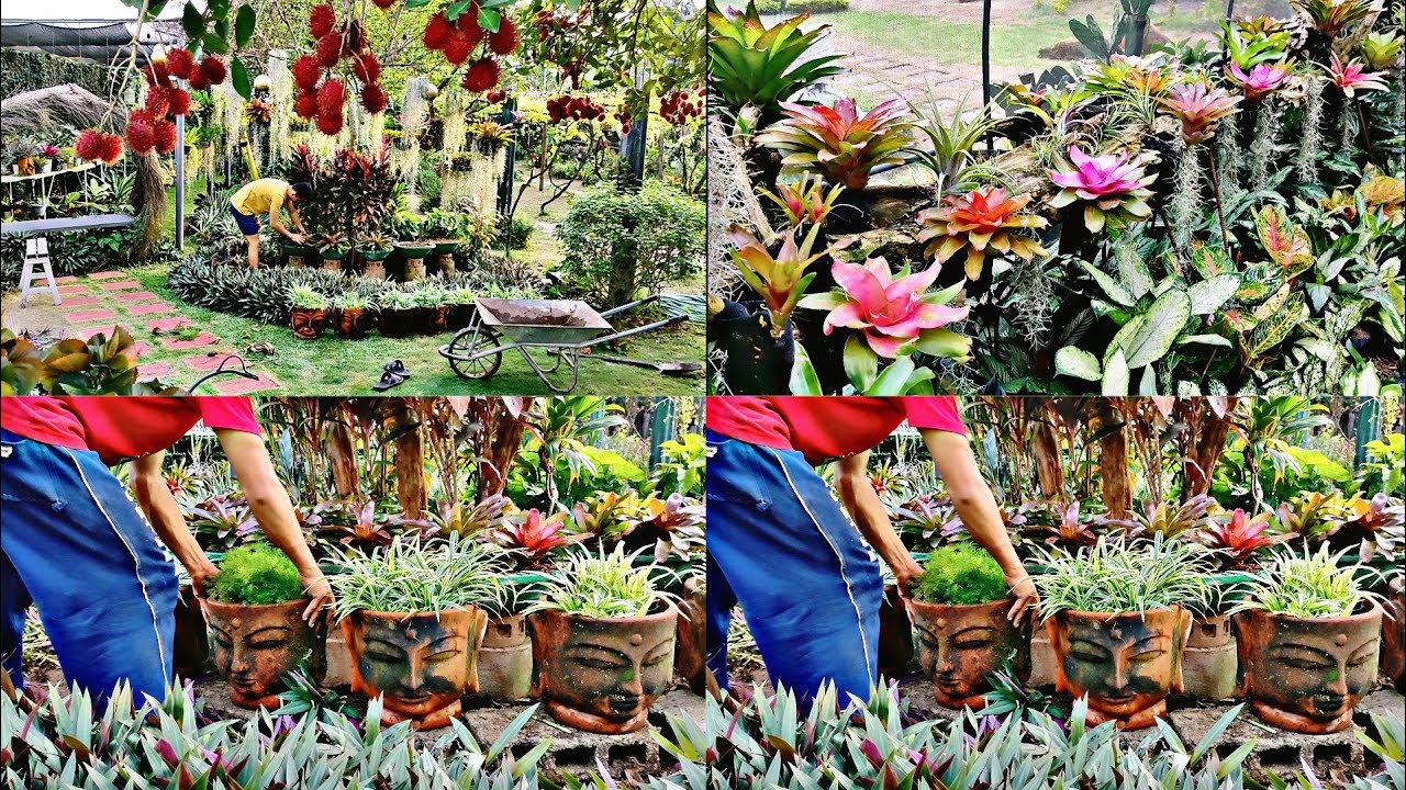 UNIQUE LANDSCAPING 🪴