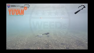 【WEEDs Spirits】 PREMIUM BUTALURE 『YUYAN GO-GO!』ウィーズスピリッツ ポークルアー 水中動画 ジグポーク