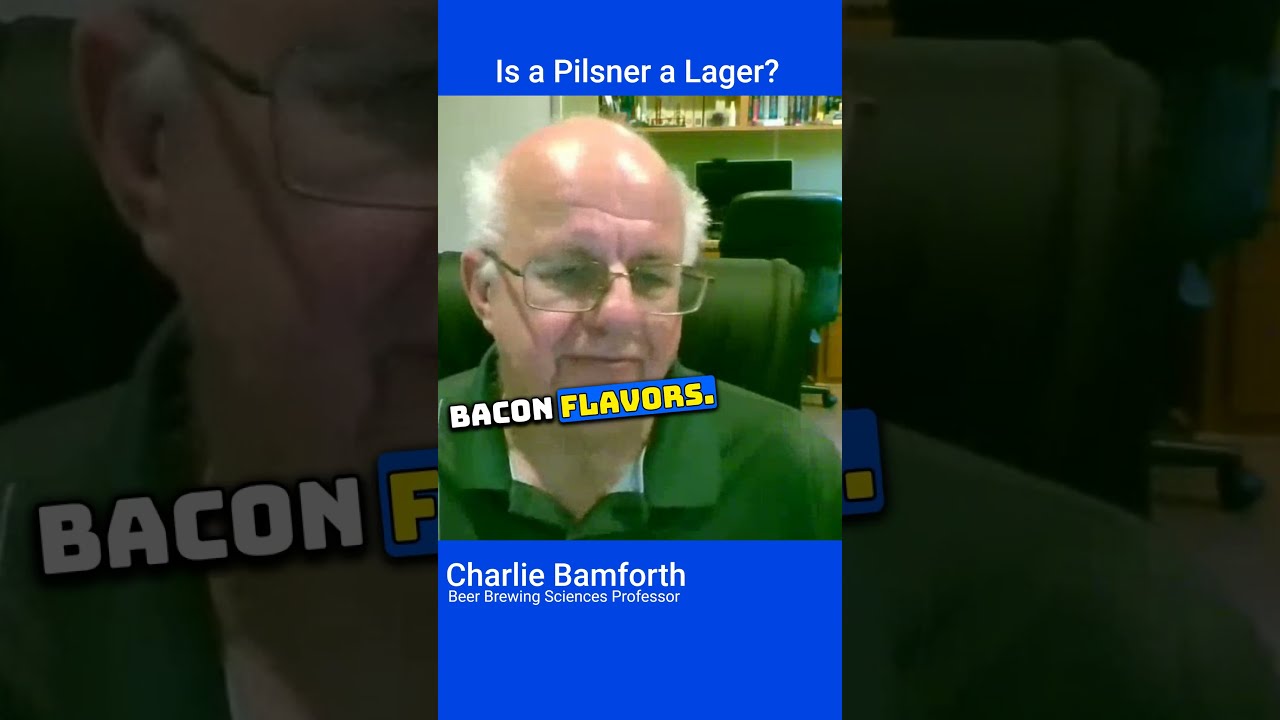 The Truth About Pilsner And Lager Beer