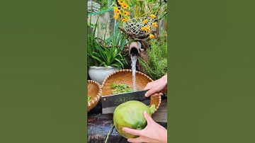 Khắc tinh của sỏi thận | Kha Hạnh