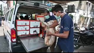 Ambulance Van for Stray Animals (Part-2) 🐶🐱🐮 | Jivdaya | JCT | Ahmedabad