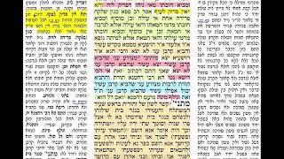 דף יומי מסכת יומא דף מא Daf yomi Yoma daf 41 שמואל נבון