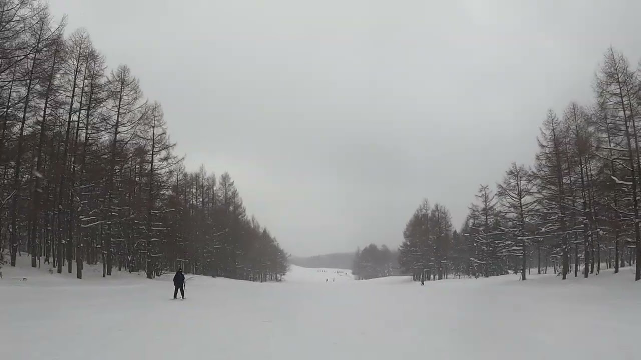 2026/1/26 グランデコ　main street