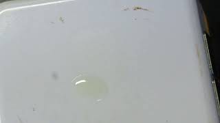 Crackle Test - 464 ppm Water - Chiller Compressor Polyol Ester Oil