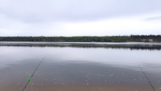 ЗАПОРОЖЬЕ РЫБАЛКА НА ДНЕПРЕ С НАСТЕНЬКОЙ 18.04.2024 ЖДАНОВСКИЙ ПЛЯЖ ПОРАДОВАЛ ЗАЧЕТНЫМИ ТРОФЕЯМИ 🔥🔥🔥