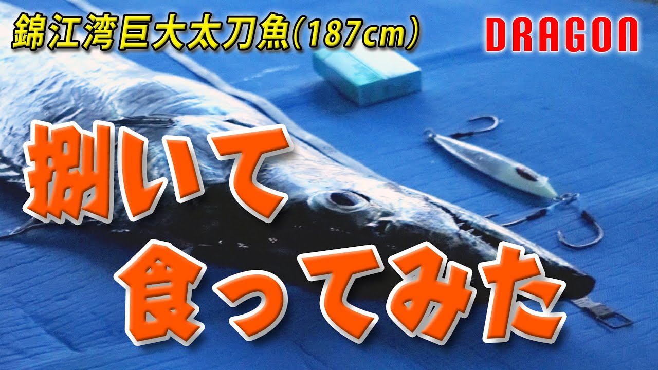 錦江湾の巨大太刀魚(187cm)を捌いて食ってみる - YouTube
