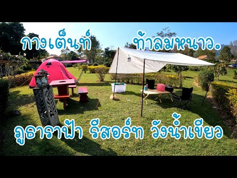 กางเต็นท์ วังน้ำเขียว ที่พัก ภูธาราฟ้า รีสอร์ท กับ ครอบครัว ท้าลมหนาว กิน หมูกระทะ & กุ้งเผา