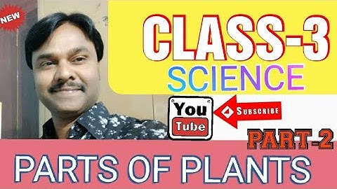 CLASS-3 || SCIENCE || PARTS OF PLANTS || PART-2