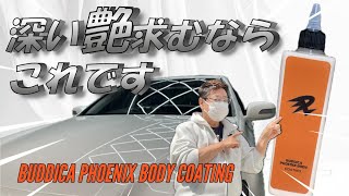 BUDDICA + Car Wash While Doing Something Else] If you want the
